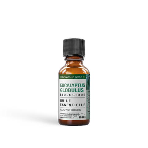 Eucalyptus Globulus Æterisk Olie