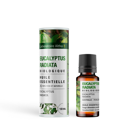 Eucalyptus Radiata Æterisk Olie